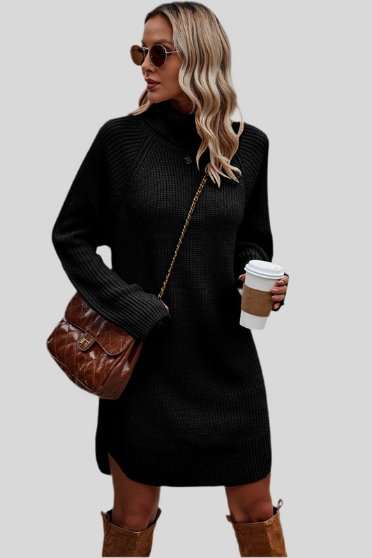 Thick Knit Roll Neck Solid Loose Fit Sweater Dress