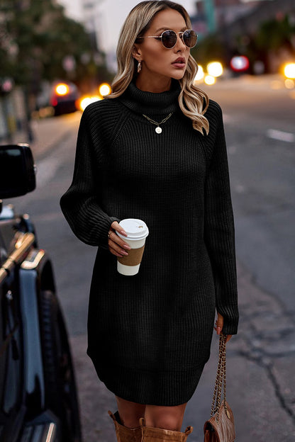 Thick Knit Roll Neck Solid Loose Fit Sweater Dress