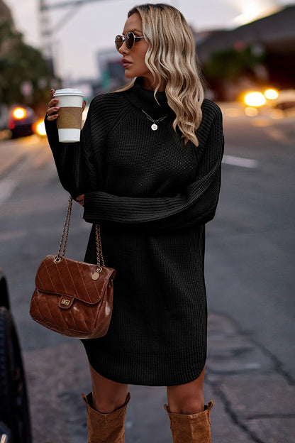 Thick Knit Roll Neck Solid Loose Fit Sweater Dress